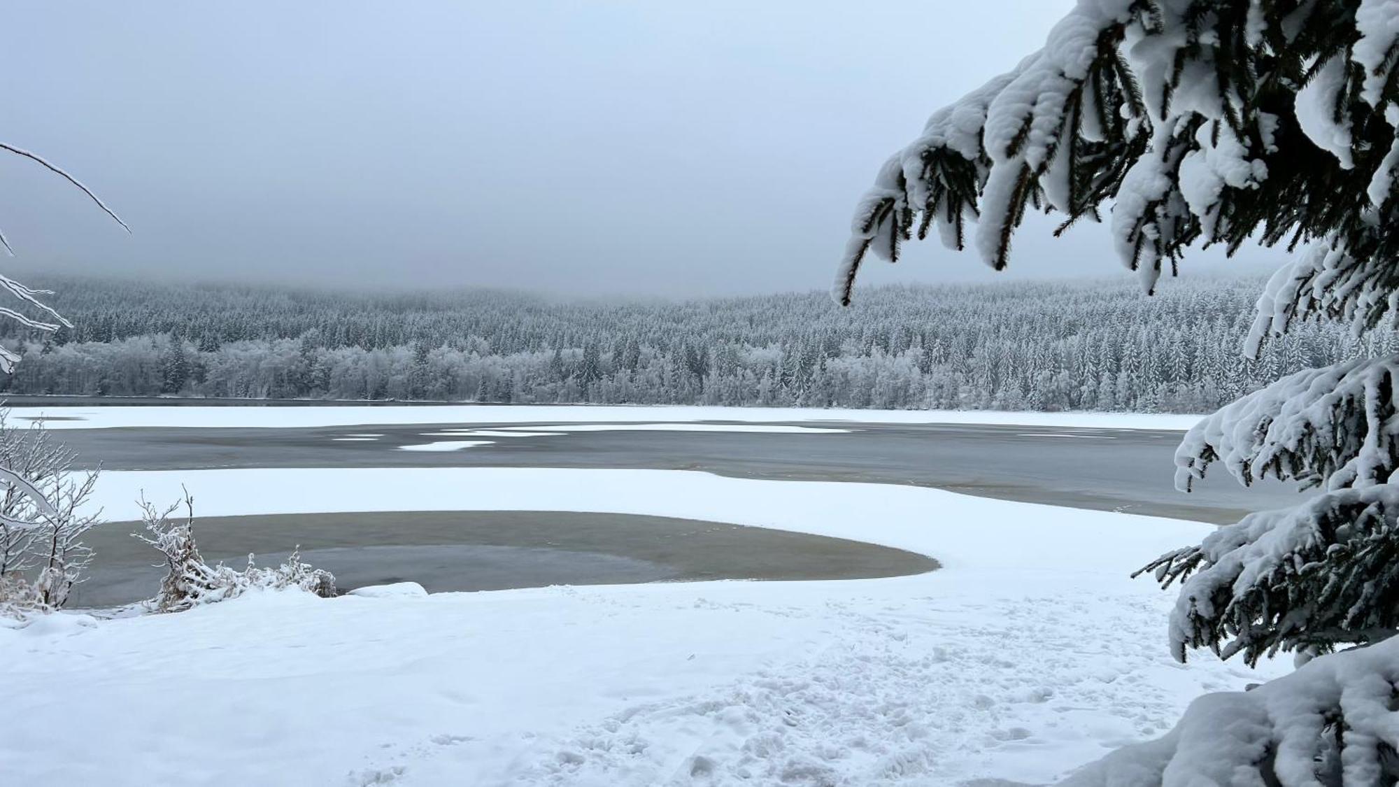 Hauslipno Bungalov Na Lipne Lipno nad Vltavou Kültér fotó